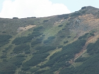 11.08.2012 13:30:12
Munții Călimani
Rumänien 2012
Rumänien-Fotos