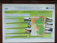 11.08.2012 14:15:12
Munții Călimani
Rumänien 2012
Rumänien-Fotos