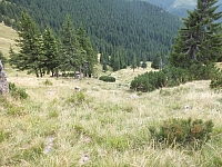 11.08.2012 14:25:57
Munții Călimani
Rumänien 2012
Rumänien-Fotos