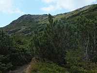 11.08.2012 14:55:23
Munții Călimani
Rumänien 2012
Rumänien-Fotos