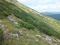 11.08.2012 14:55:41
Munții Călimani
Rumänien 2012
Rumänien-Fotos