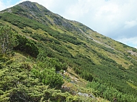 11.08.2012 14:58:20
Munții Călimani
Rumänien 2012
Rumänien-Fotos