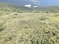 11.08.2012 15:03:15
Munții Călimani
Rumänien 2012
Rumänien-Fotos