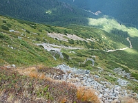 11.08.2012 15:31:59
Munții Călimani
Rumänien 2012
Rumänien-Fotos