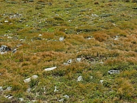 11.08.2012 16:55:45
Munții Călimani
Rumänien 2012
Rumänien-Fotos