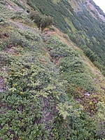 11.08.2012 17:23:12
Munții Călimani
Rumänien 2012
Rumänien-Fotos