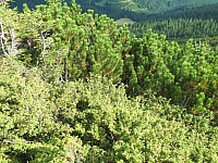 11.08.2012 17:25:57
Munții Călimani
Rumänien 2012
Rumänien-Fotos