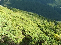 11.08.2012 17:26:23
Munții Călimani
Rumänien 2012
Rumänien-Fotos