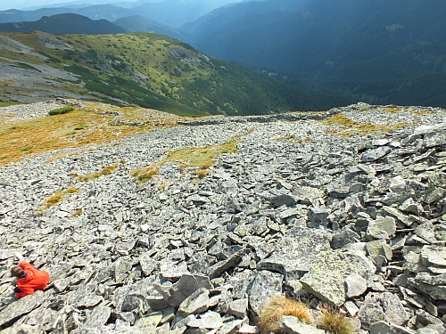 &copy; <a href='http://rtol.de' title='Dynamische Webseiten mit (X)HTML, PHP, MySQL und CSS für Ihren Internet-Auftritt' target='_blank'>Thiel-IT</a>
11.08.2012 16:15:35
Munții Călimani
Rumänien 2012
Rumänien-Fotos