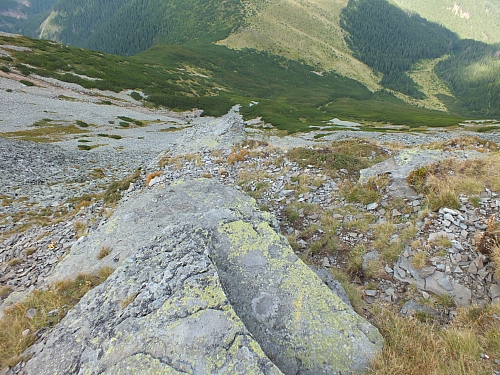 &copy; <a href='http://rtol.de' title='Dynamische Webseiten mit (X)HTML, PHP, MySQL und CSS für Ihren Internet-Auftritt' target='_blank'>Thiel-IT</a>
11.08.2012 16:21:20
Munții Călimani
Rumänien 2012
Rumänien-Fotos