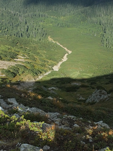 &copy; <a href='http://rtol.de' title='Dynamische Webseiten mit (X)HTML, PHP, MySQL und CSS für Ihren Internet-Auftritt' target='_blank'>Thiel-IT</a>
11.08.2012 16:57:20
Munții Călimani
Rumänien 2012
Rumänien-Fotos