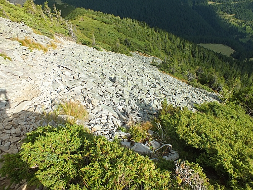 &copy; <a href='http://rtol.de' title='Dynamische Webseiten mit (X)HTML, PHP, MySQL und CSS für Ihren Internet-Auftritt' target='_blank'>Thiel-IT</a>
11.08.2012 17:27:59
Munții Călimani
Rumänien 2012
Rumänien-Fotos