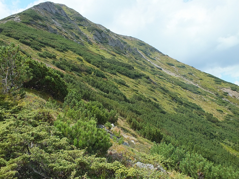 &copy; <a href='http://rtol.de' title='Dynamische Webseiten mit (X)HTML, PHP, MySQL und CSS für Ihren Internet-Auftritt' target='_blank'>Thiel-IT</a>
11.08.2012 14:58:20
Munții Călimani
Rumänien 2012
Rumänien-Fotos