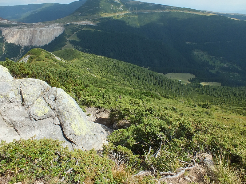 &copy; <a href='http://rtol.de' title='Dynamische Webseiten mit (X)HTML, PHP, MySQL und CSS für Ihren Internet-Auftritt' target='_blank'>Thiel-IT</a>
11.08.2012 15:06:51
Munții Călimani
Rumänien 2012
Rumänien-Fotos