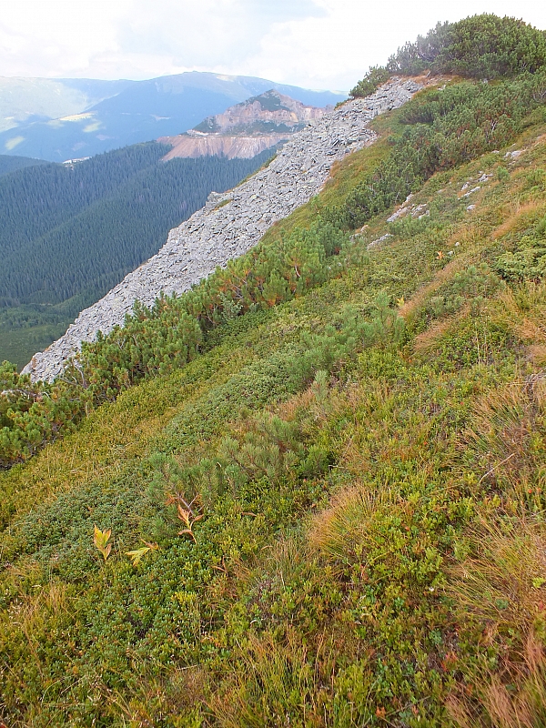 &copy; <a href='http://rtol.de' title='Dynamische Webseiten mit (X)HTML, PHP, MySQL und CSS für Ihren Internet-Auftritt' target='_blank'>Thiel-IT</a>
11.08.2012 17:22:25
Munții Călimani
Rumänien 2012
Rumänien-Fotos