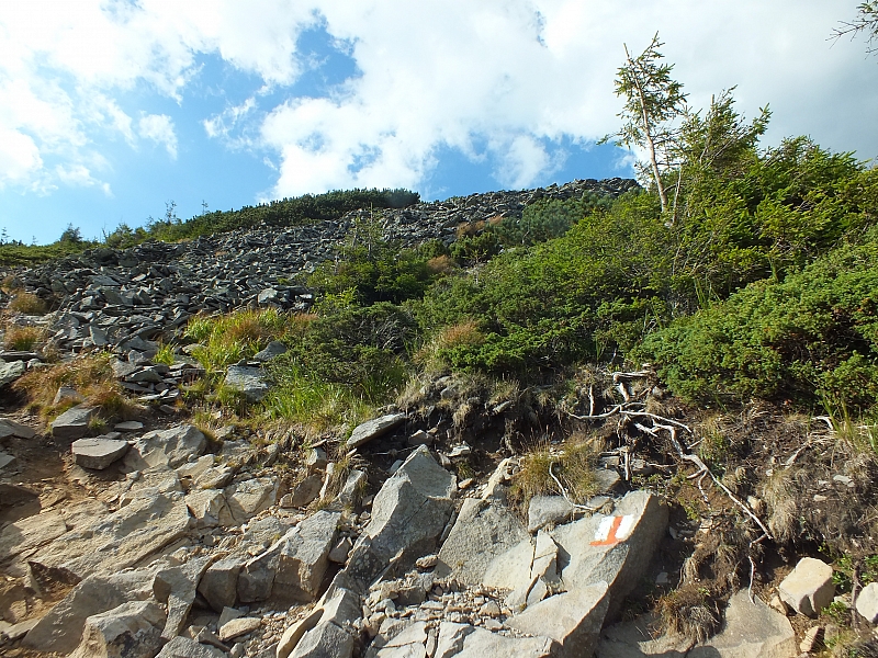 &copy; <a href='http://rtol.de' title='Dynamische Webseiten mit (X)HTML, PHP, MySQL und CSS für Ihren Internet-Auftritt' target='_blank'>Thiel-IT</a>
11.08.2012 17:29:19
Munții Călimani
Rumänien 2012
Rumänien-Fotos