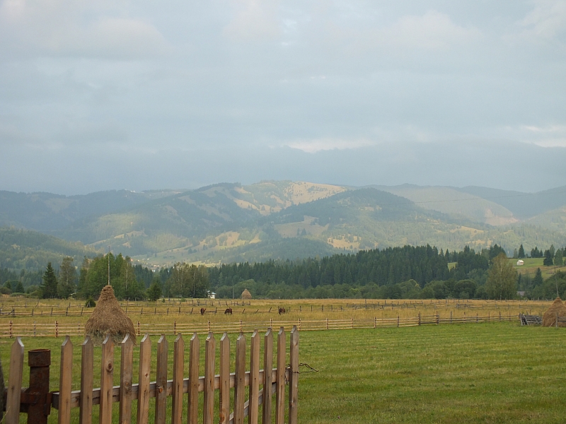 &copy; <a href='http://rtol.de' title='Dynamische Webseiten mit (X)HTML, PHP, MySQL und CSS für Ihren Internet-Auftritt' target='_blank'>Thiel-IT</a>
11.08.2012 19:18:37
Munții Călimani
Rumänien 2012
Rumänien-Fotos