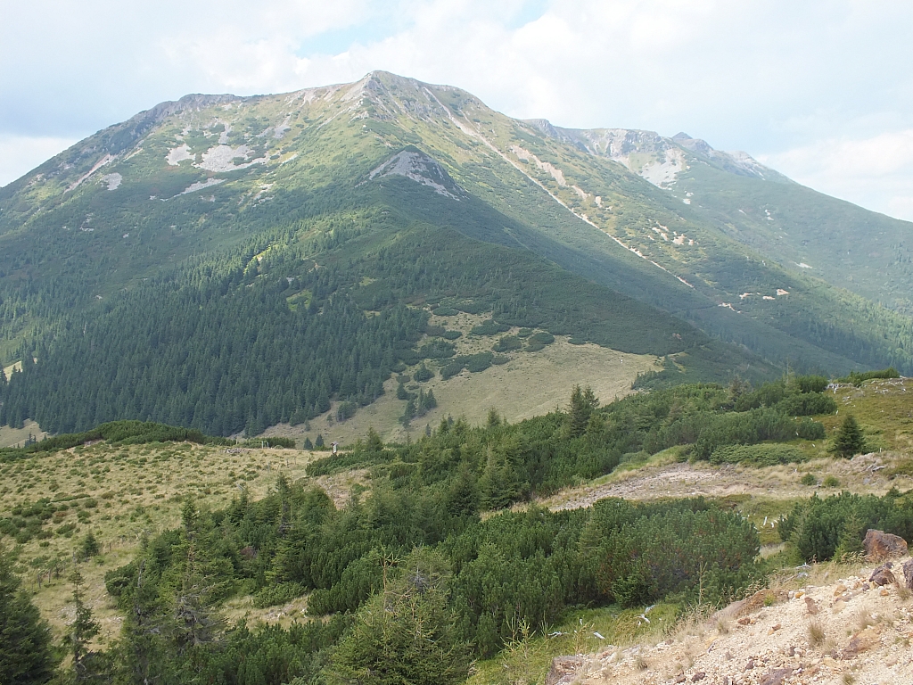 &copy; <a href='http://rtol.de' title='Dynamische Webseiten mit (X)HTML, PHP, MySQL und CSS für Ihren Internet-Auftritt' target='_blank'>Thiel-IT</a>
11.08.2012 13:52:08
Munții Călimani
Rumänien 2012
Rumänien-Fotos