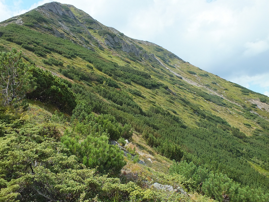 &copy; <a href='http://rtol.de' title='Dynamische Webseiten mit (X)HTML, PHP, MySQL und CSS für Ihren Internet-Auftritt' target='_blank'>Thiel-IT</a>
11.08.2012 14:58:20
Munții Călimani
Rumänien 2012
Rumänien-Fotos