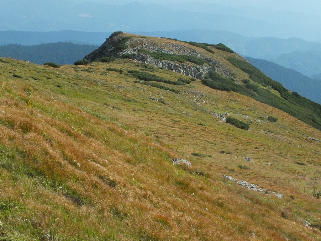 &copy; <a href='http://rtol.de' title='Dynamische Webseiten mit (X)HTML, PHP, MySQL und CSS für Ihren Internet-Auftritt' target='_blank'>Thiel-IT</a>
11.08.2012 16:56:07
Munții Călimani
Rumänien 2012
Rumänien-Fotos