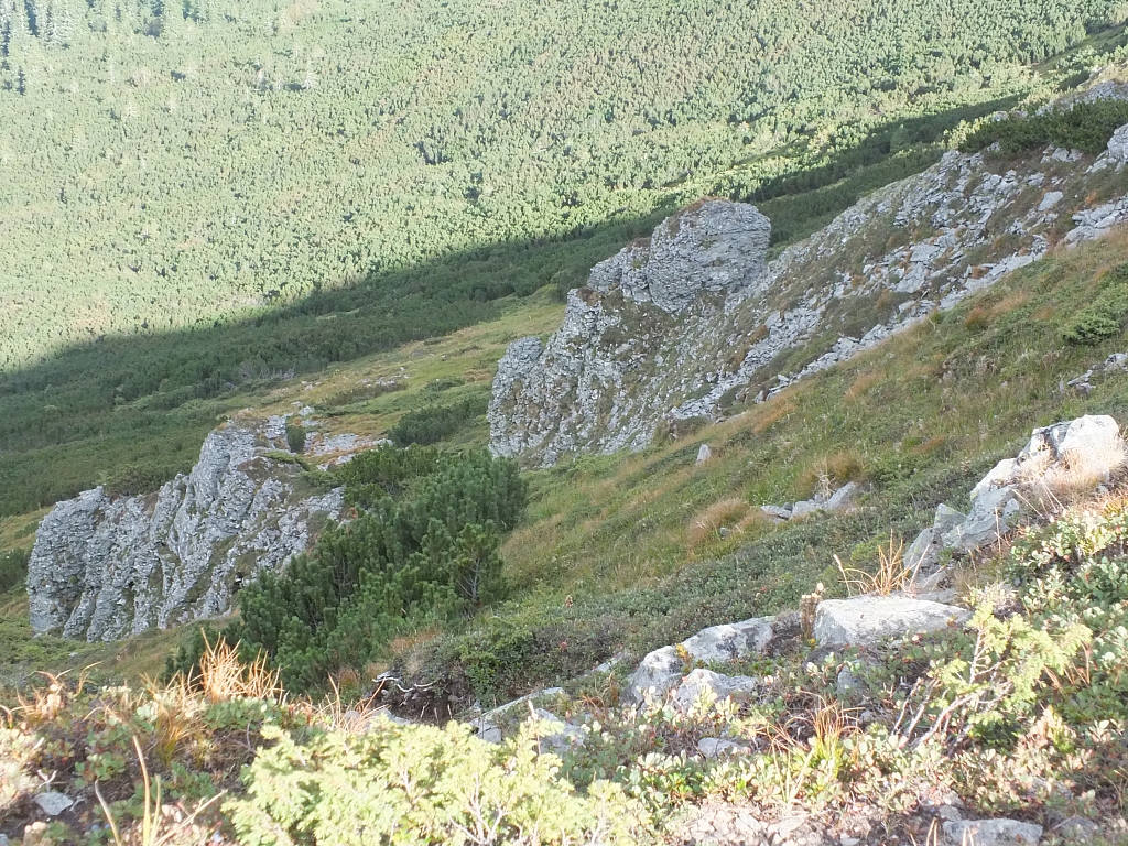 &copy; <a href='http://rtol.de' title='Dynamische Webseiten mit (X)HTML, PHP, MySQL und CSS für Ihren Internet-Auftritt' target='_blank'>Thiel-IT</a>
11.08.2012 16:57:03
Munții Călimani
Rumänien 2012
Rumänien-Fotos