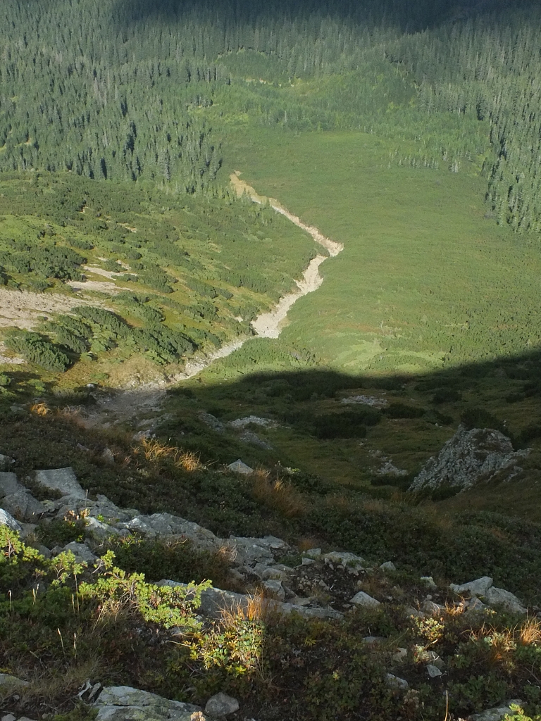 &copy; <a href='http://rtol.de' title='Dynamische Webseiten mit (X)HTML, PHP, MySQL und CSS für Ihren Internet-Auftritt' target='_blank'>Thiel-IT</a>
11.08.2012 16:57:20
Munții Călimani
Rumänien 2012
Rumänien-Fotos