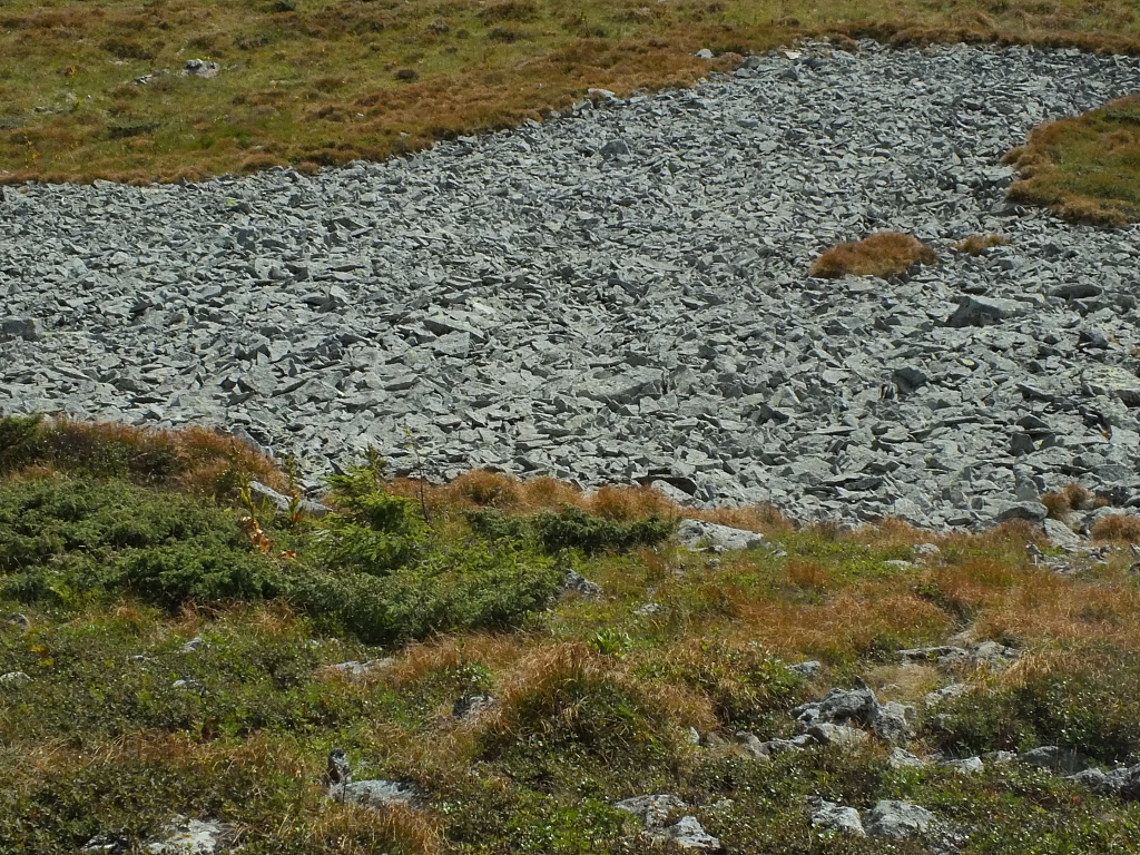 &copy; <a href='http://rtol.de' title='Dynamische Webseiten mit (X)HTML, PHP, MySQL und CSS für Ihren Internet-Auftritt' target='_blank'>Thiel-IT</a>
11.08.2012 16:57:55
Munții Călimani
Rumänien 2012
Rumänien-Fotos