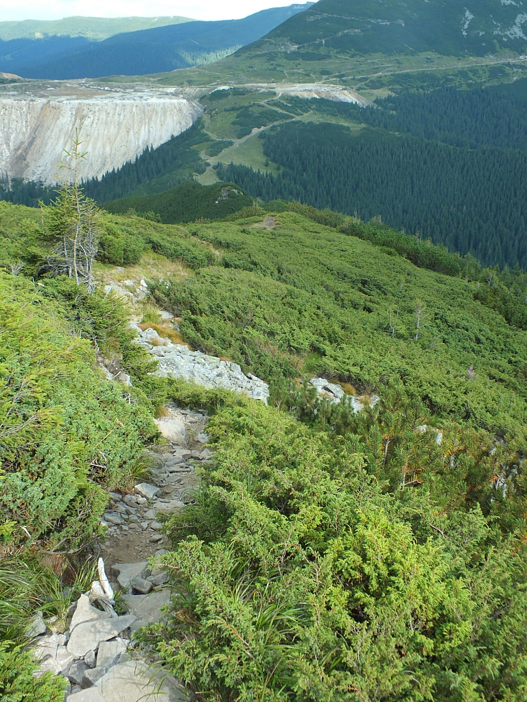 &copy; <a href='http://rtol.de' title='Dynamische Webseiten mit (X)HTML, PHP, MySQL und CSS für Ihren Internet-Auftritt' target='_blank'>Thiel-IT</a>
11.08.2012 17:29:39
Munții Călimani
Rumänien 2012
Rumänien-Fotos