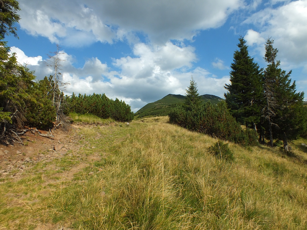 &copy; <a href='http://rtol.de' title='Dynamische Webseiten mit (X)HTML, PHP, MySQL und CSS für Ihren Internet-Auftritt' target='_blank'>Thiel-IT</a>
11.08.2012 17:58:10
Munții Călimani
Rumänien 2012
Rumänien-Fotos