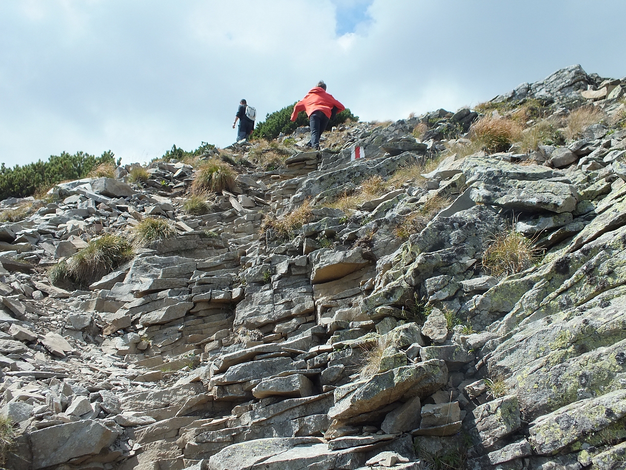 &copy; <a href='http://rtol.de' title='Dynamische Webseiten mit (X)HTML, PHP, MySQL und CSS für Ihren Internet-Auftritt' target='_blank'>Thiel-IT</a>
11.08.2012 15:19:31
Munții Călimani
Rumänien 2012
Rumänien-Fotos