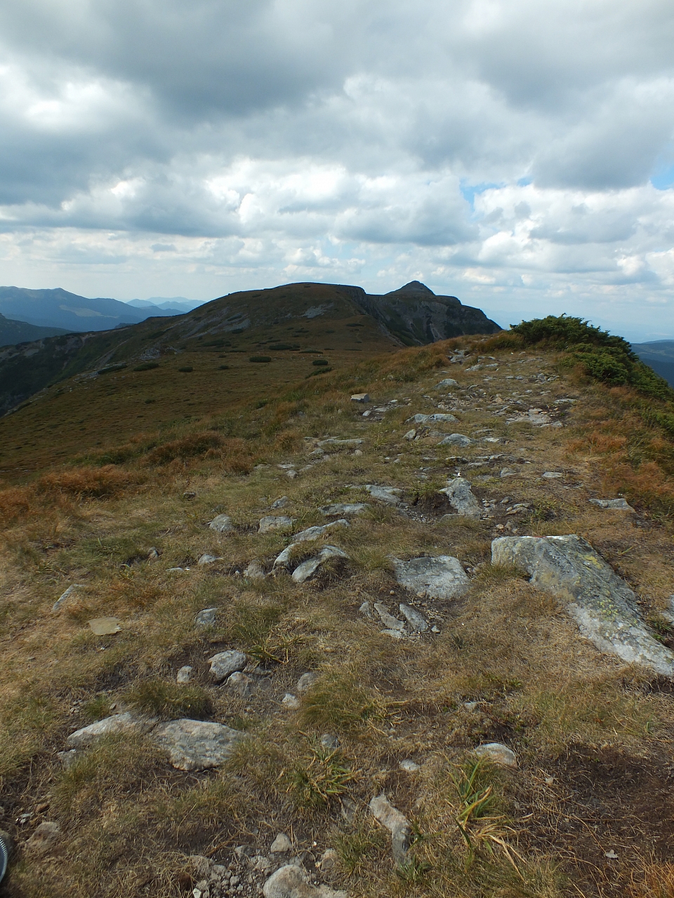 &copy; <a href='http://rtol.de' title='Dynamische Webseiten mit (X)HTML, PHP, MySQL und CSS für Ihren Internet-Auftritt' target='_blank'>Thiel-IT</a>
11.08.2012 15:30:19
Munții Călimani
Rumänien 2012
Rumänien-Fotos