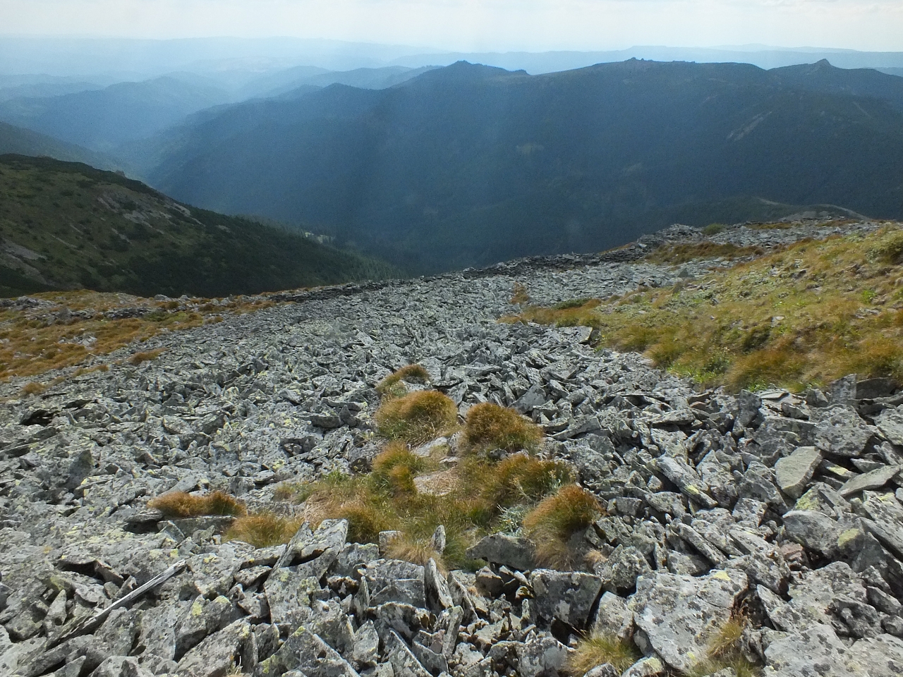 &copy; <a href='http://rtol.de' title='Dynamische Webseiten mit (X)HTML, PHP, MySQL und CSS für Ihren Internet-Auftritt' target='_blank'>Thiel-IT</a>
11.08.2012 16:13:46
Munții Călimani
Rumänien 2012
Rumänien-Fotos