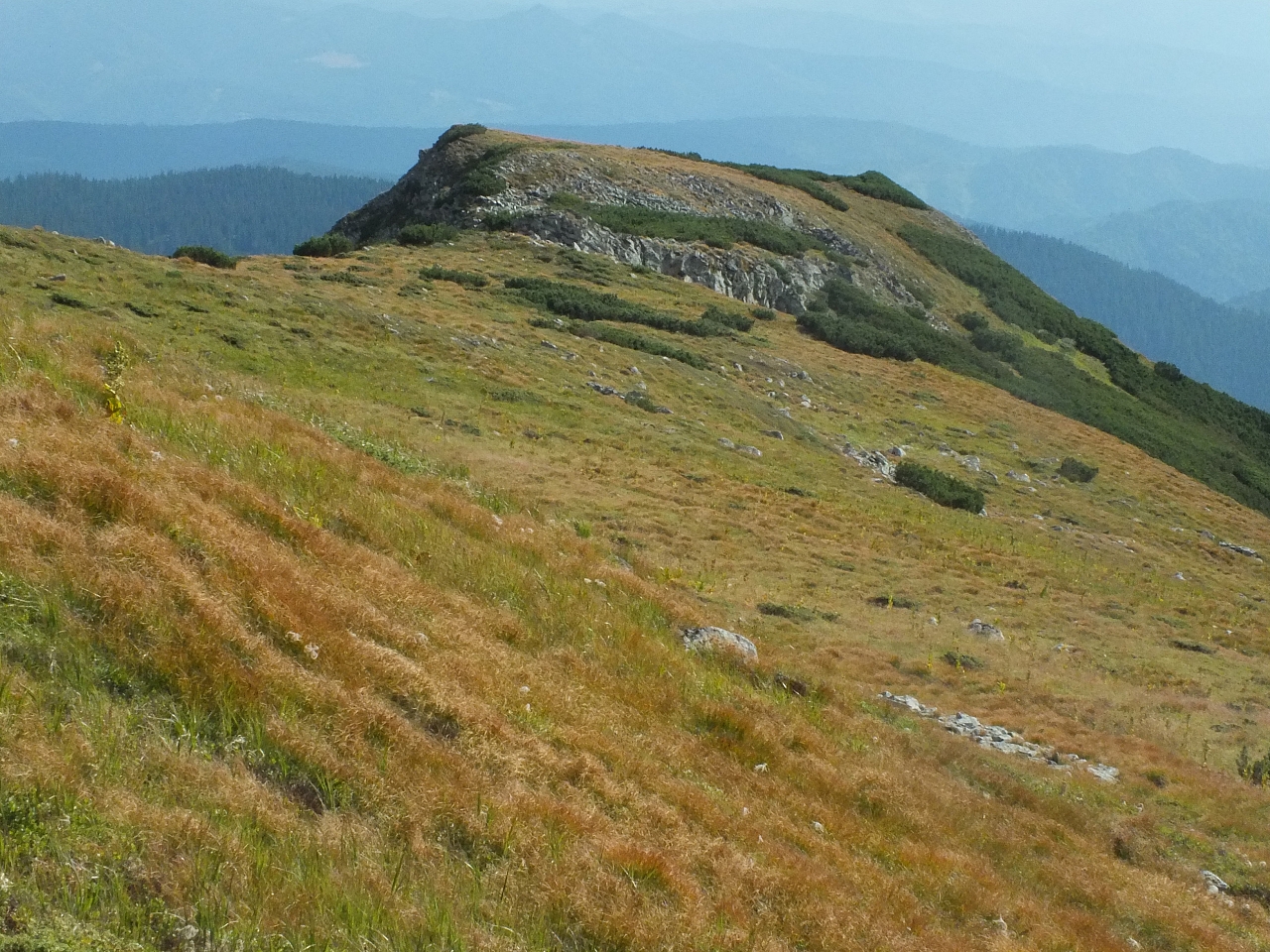 &copy; <a href='http://rtol.de' title='Dynamische Webseiten mit (X)HTML, PHP, MySQL und CSS für Ihren Internet-Auftritt' target='_blank'>Thiel-IT</a>
11.08.2012 16:56:07
Munții Călimani
Rumänien 2012
Rumänien-Fotos