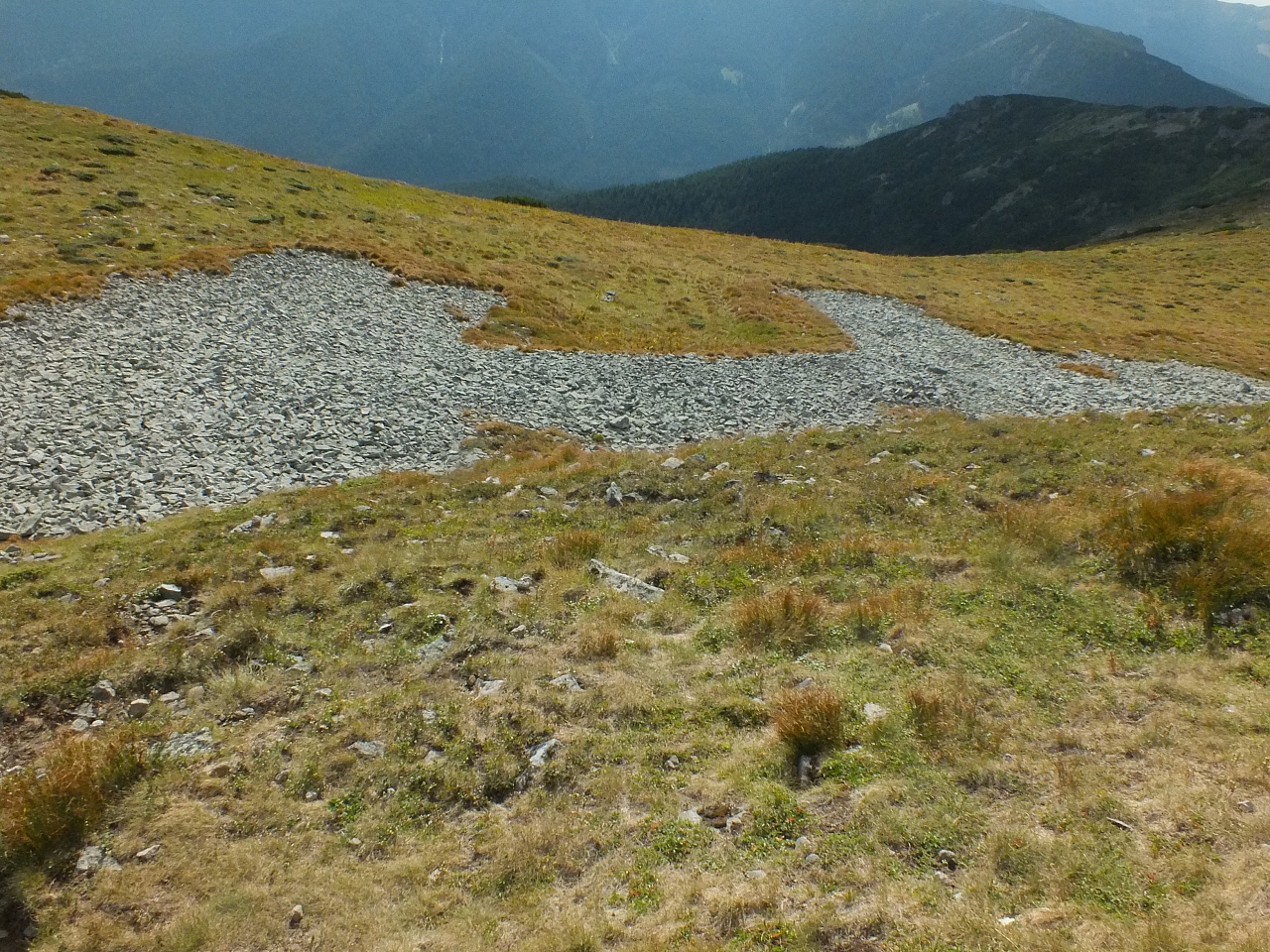 &copy; <a href='http://rtol.de' title='Dynamische Webseiten mit (X)HTML, PHP, MySQL und CSS für Ihren Internet-Auftritt' target='_blank'>Thiel-IT</a>
11.08.2012 16:59:55
Munții Călimani
Rumänien 2012
Rumänien-Fotos