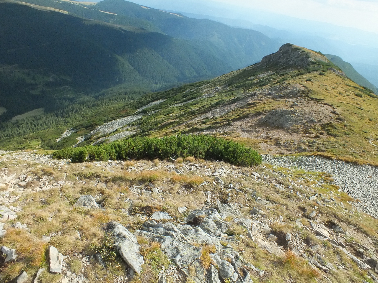 &copy; <a href='http://rtol.de' title='Dynamische Webseiten mit (X)HTML, PHP, MySQL und CSS für Ihren Internet-Auftritt' target='_blank'>Thiel-IT</a>
11.08.2012 17:00:12
Munții Călimani
Rumänien 2012
Rumänien-Fotos