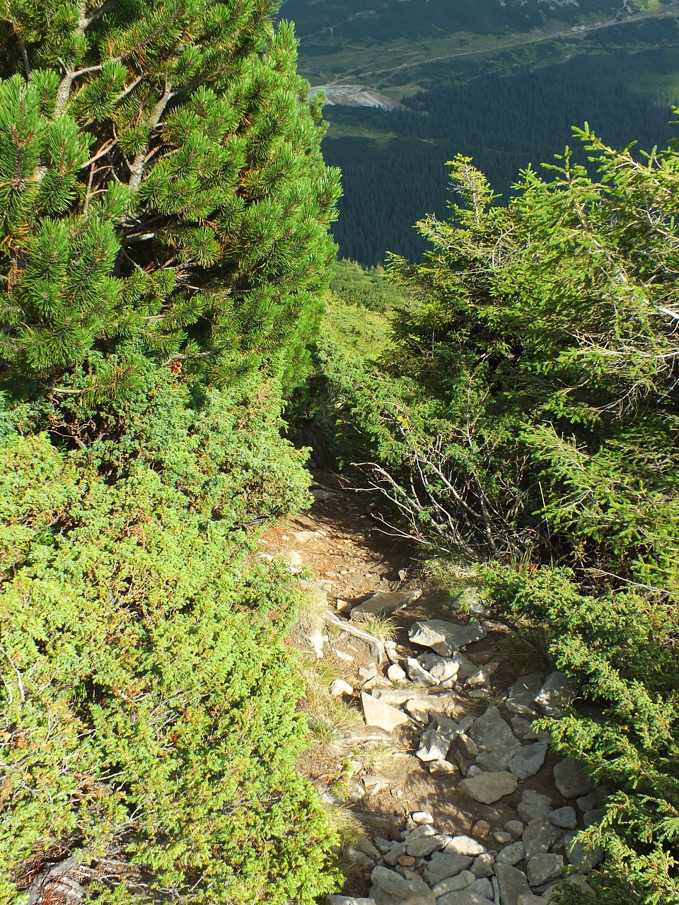 &copy; <a href='http://rtol.de' title='Dynamische Webseiten mit (X)HTML, PHP, MySQL und CSS für Ihren Internet-Auftritt' target='_blank'>Thiel-IT</a>
11.08.2012 17:26:03
Munții Călimani
Rumänien 2012
Rumänien-Fotos