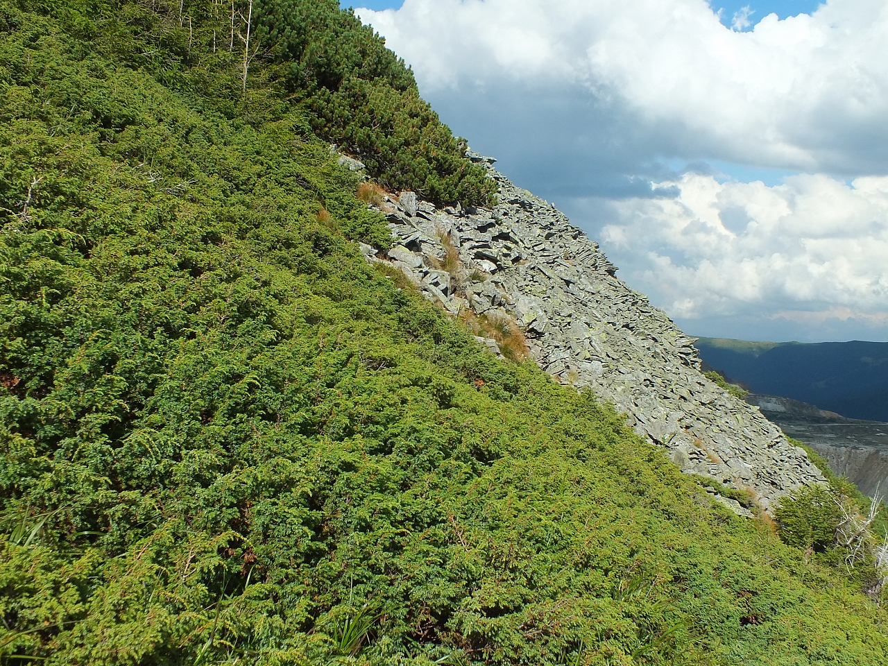 &copy; <a href='http://rtol.de' title='Dynamische Webseiten mit (X)HTML, PHP, MySQL und CSS für Ihren Internet-Auftritt' target='_blank'>Thiel-IT</a>
11.08.2012 17:27:07
Munții Călimani
Rumänien 2012
Rumänien-Fotos