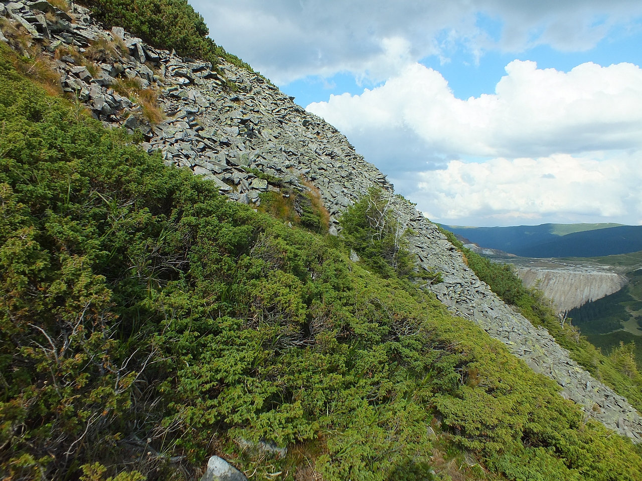 &copy; <a href='http://rtol.de' title='Dynamische Webseiten mit (X)HTML, PHP, MySQL und CSS für Ihren Internet-Auftritt' target='_blank'>Thiel-IT</a>
11.08.2012 17:27:35
Munții Călimani
Rumänien 2012
Rumänien-Fotos