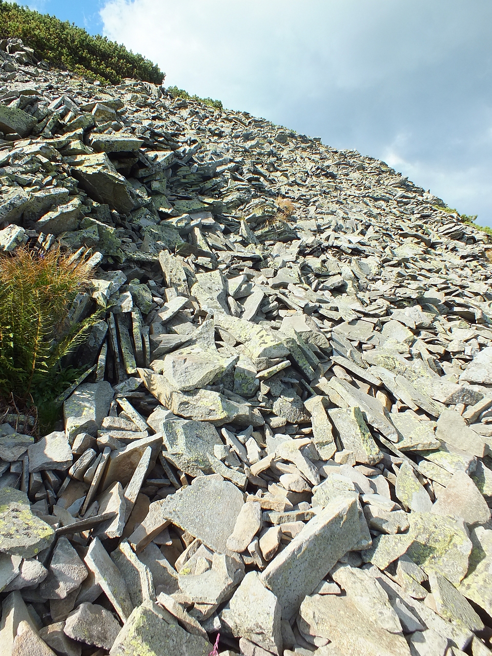 &copy; <a href='http://rtol.de' title='Dynamische Webseiten mit (X)HTML, PHP, MySQL und CSS für Ihren Internet-Auftritt' target='_blank'>Thiel-IT</a>
11.08.2012 17:28:26
Munții Călimani
Rumänien 2012
Rumänien-Fotos