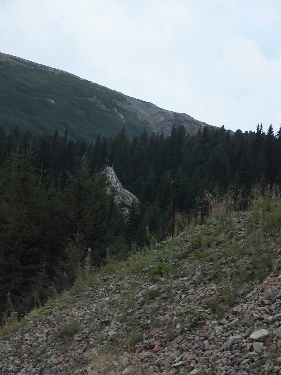 &copy; <a href='http://rtol.de' title='Dynamische Webseiten mit (X)HTML, PHP, MySQL und CSS für Ihren Internet-Auftritt' target='_blank'>Thiel-IT</a>
11.08.2012 18:49:49
Munții Călimani
Rumänien 2012
Rumänien-Fotos